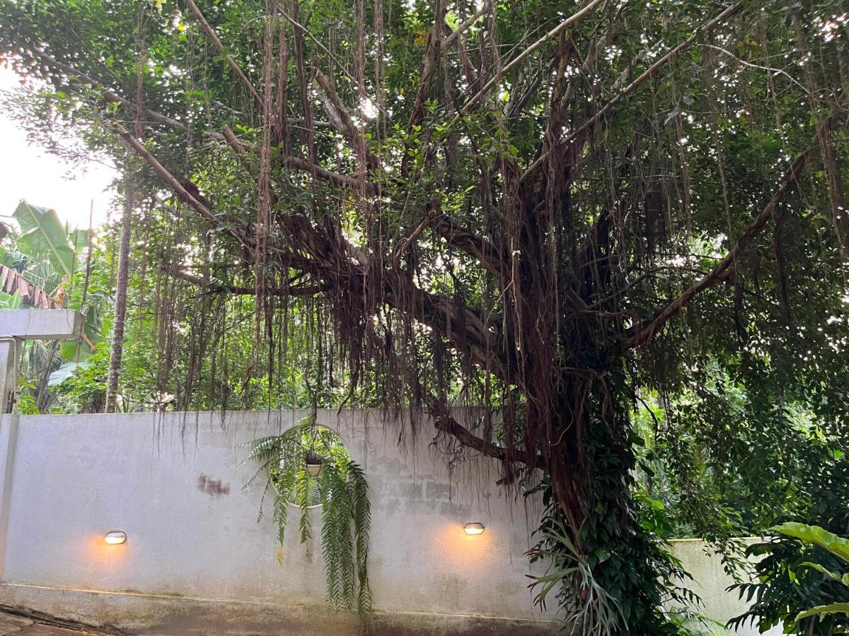 Villa Dinoos- Weligama Exterior foto